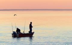 York River Anglers