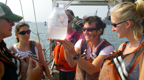 York River Field Trip