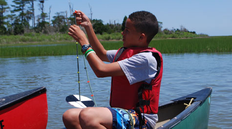 Estuary Explorers