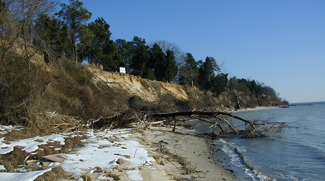 Bank Grading - Before