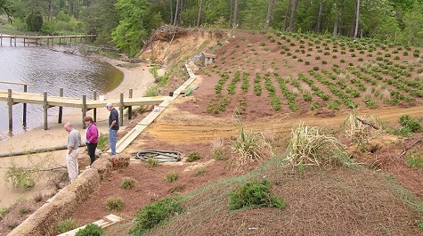 Bank Grading - Landscape Restore