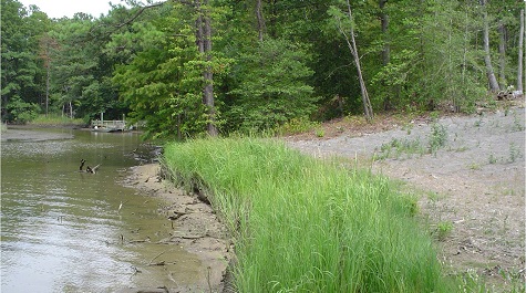 Fiber Logs - JJC Planted Marsh