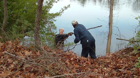 Pruning