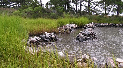 Marsh Toe Revetment - Tidal Gaps