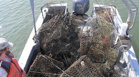 Derelict Fishing Gear