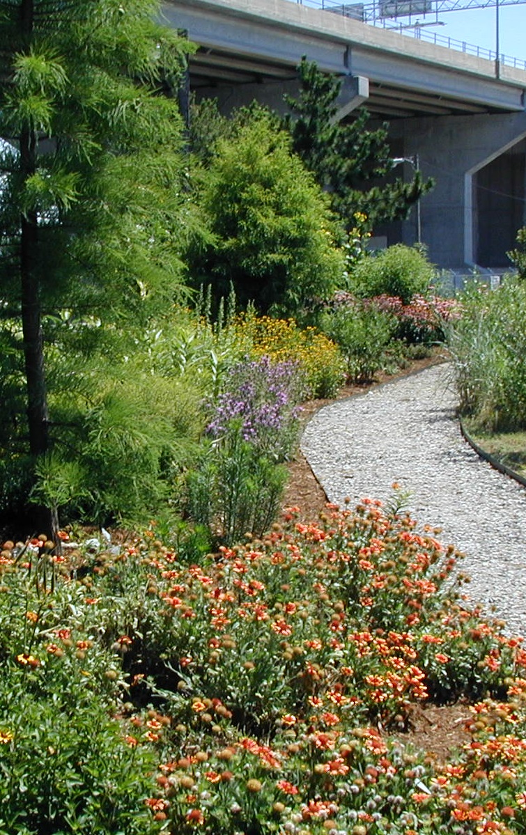 Riparian Buffers &amp; Bay Friendly Gardens