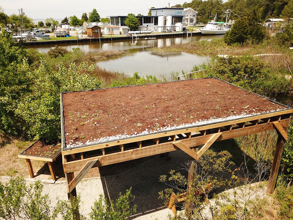 living roof