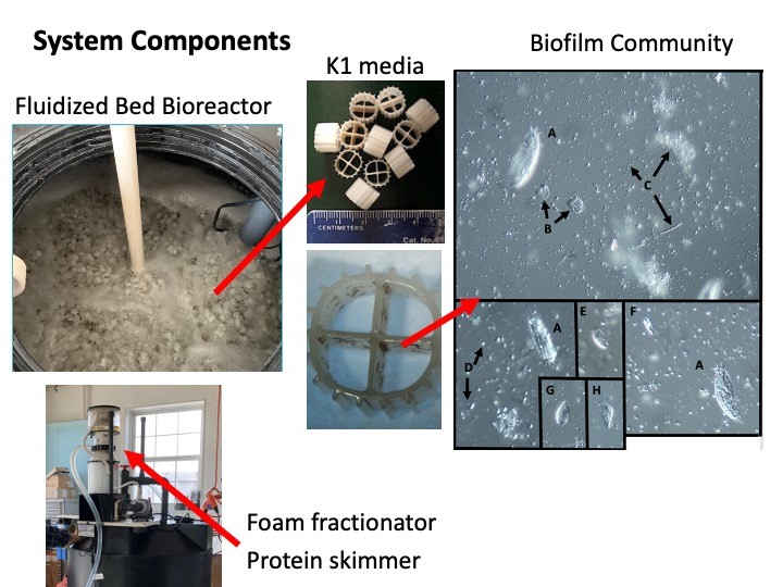 System Components