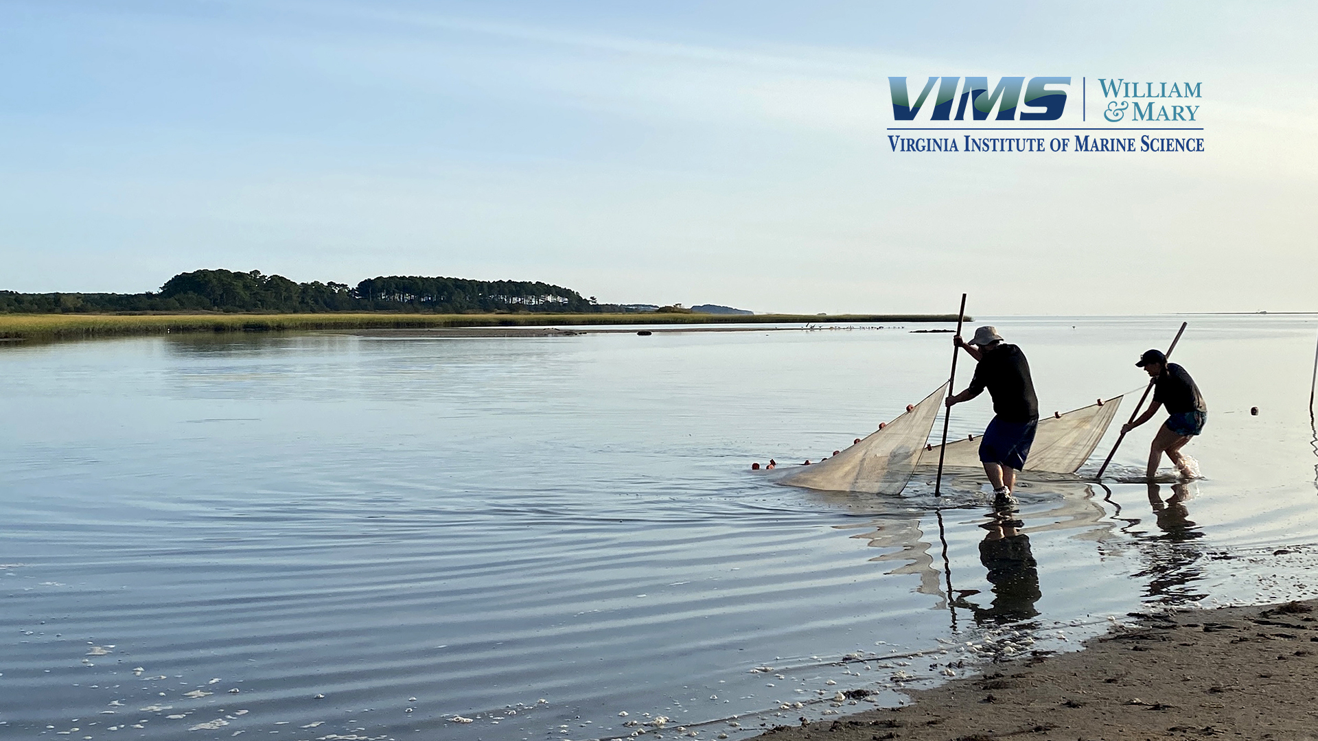 Seining on a mud flat