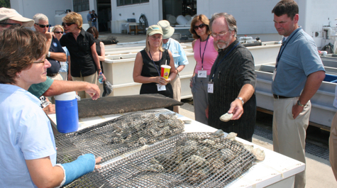 Oyster Hatchery