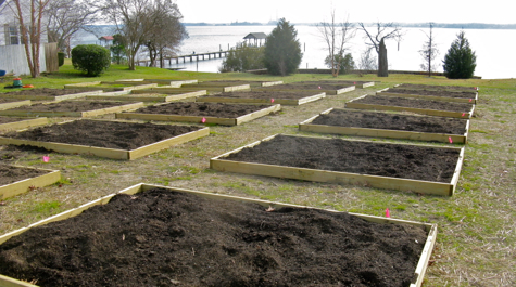 Waterfront Gardening