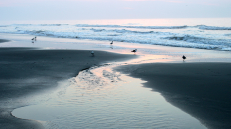 Beach Features