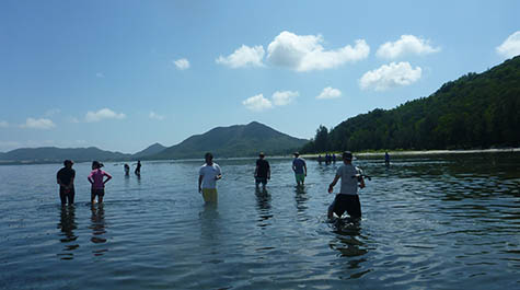 Examining seagrass