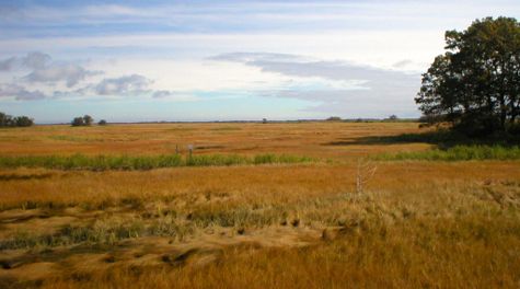 High elevation wetland