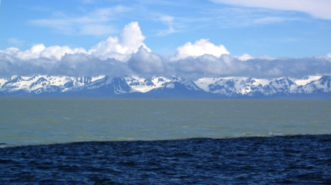 Copper River Plume