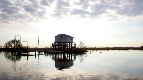 Monitoring our Wetlands