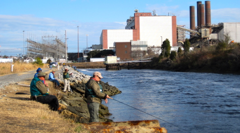 Project Healing Waters