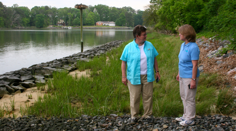 Living Shoreline