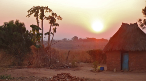 African Sunrise