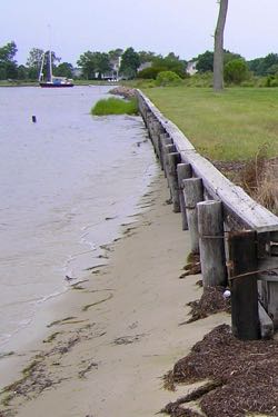 Bulkheads protect against erosion but sever the natural processes that otherwise join upland and aquatic areas. © D. Bilkovic/VIMS.