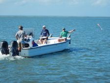 Researchers sow eelgrass seeds.