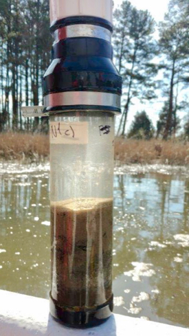 Semedo collected sediment samples for laboratory analysis at VIMS, as denitrifying microbes generally live in muds on the creek bottom. © S. Fate/VIMS ESL.