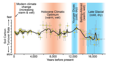 Soil Carbon Turnover Rates