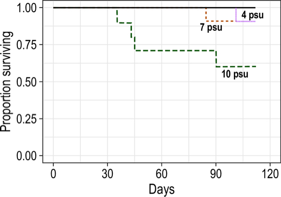 Survival of blue catfish in various salinity treatments at 54 and 72°F for 112 days. Each line represents one aquarium with 10 blue catfish; black solid line (54° treatment) includes multiple overlapping lines. All mortalities occurred in 72° treatments (pink, red, and green lines).