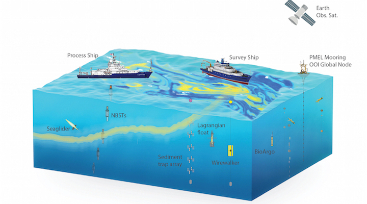 The EXPORTS project combined data from satellites, ships, and submerged instruments to better quantify Earth’s carbon cycle. © NASA.