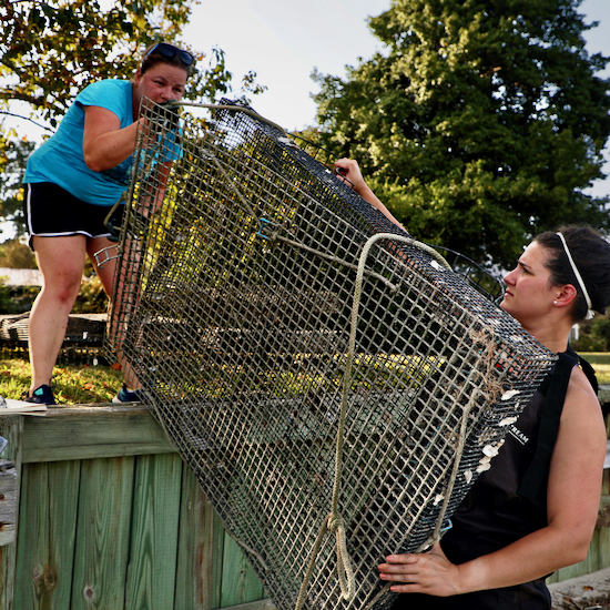 Dr. Rivest and VIMS Ph.D. student Annie Schatz prepare to deploy an oyster cage into the waters of the Chesapeake Bay. © Aileen Devlin/Virginia Sea Grant.