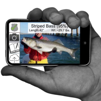 RecFish App