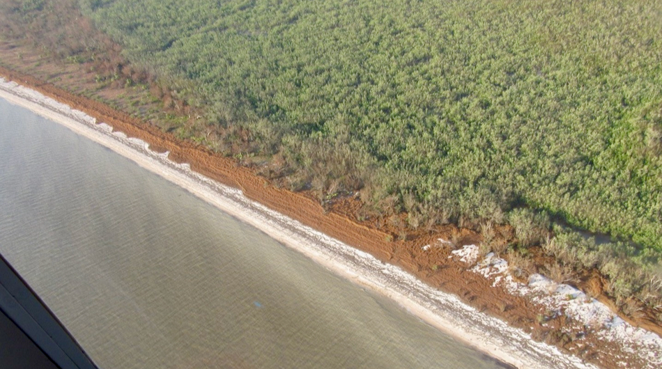 Marine Wrack