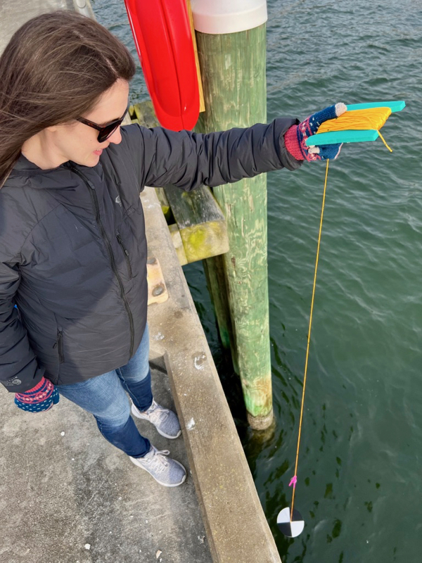 Dr. Jessie Turner deploys a Secchi disc into the York River. © D. Malmquist/VIMS.