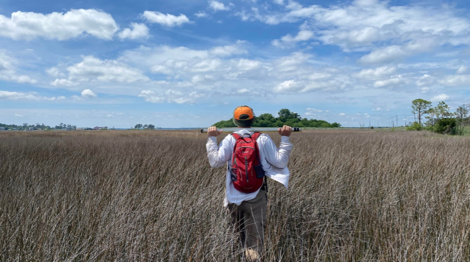 Salt Marsh