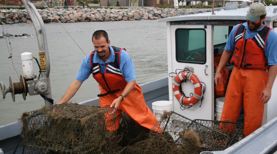 Recovered Crab Traps