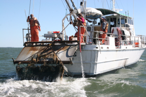 Captain Durand Ward, Kathleen Knick, and Mike Seebo aboard the deck of the R/V Bay Eagle during the Winter Blue Crab Dredge survey.