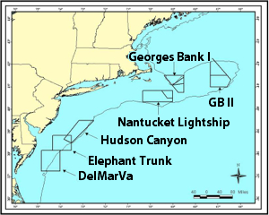 Scallop-management areas along the northeast Atlantic continental shelf.