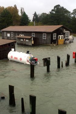 Coastal flooding affects VIMS' Eastern Shore Lab in Wachapreague.