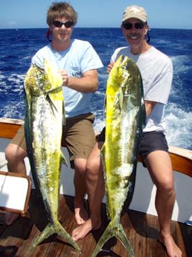 Graves (R) with graduate student Dan Dutton and a pair of mahi mahi caught off the coast of Venezuela.