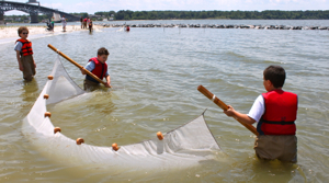 A pair of young visitors seine in the York River at the Virginia Institute of Marine Science. Photo by David Malmquist/VIMS.