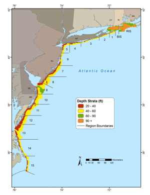 NEAMAP sampling area including region boundaries and depth strata. Click for larger image.