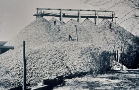 Chesapeake Bay's oyster fishery removed significant amounts of shell, reef framework, and buffering capacity from the Bay.