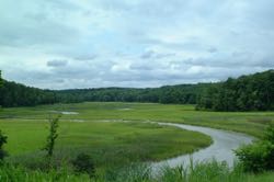 Wetlands vary widely in their vulnerability to climate change. ©D. Bilkovic/VIMS.