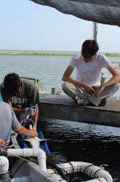 Post-surgery, a shark gets an ultrasound before being released back into the water.