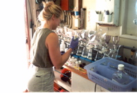 Professor Deborah Bronk conducts nitrogen research aboard a research vessel in the Gulf of Mexico.