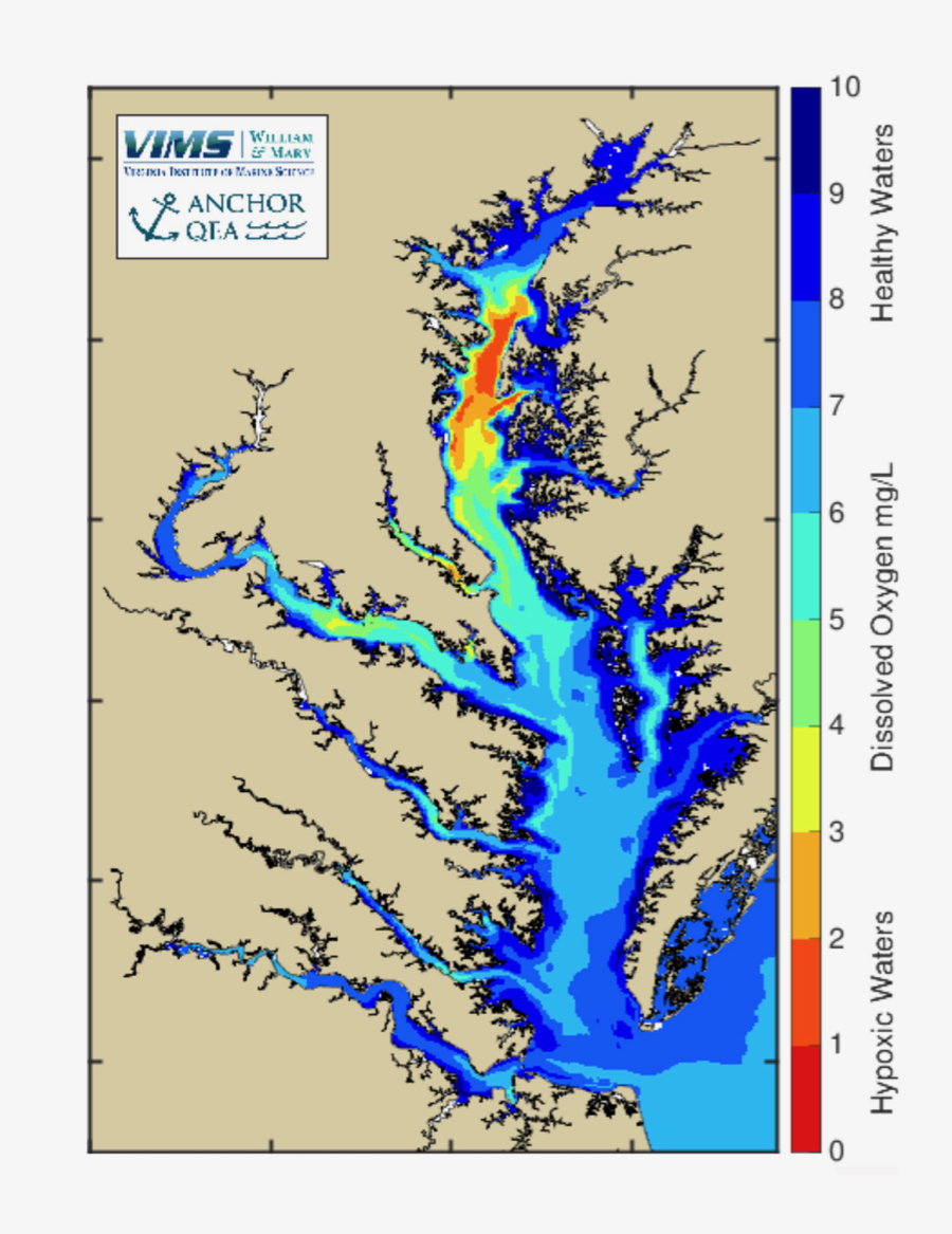 Dissolved Oxygen