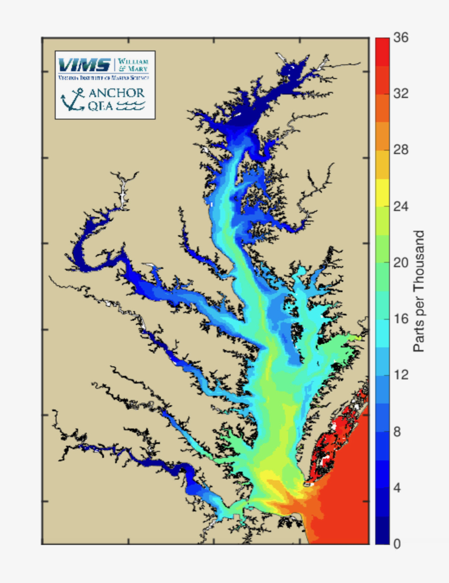 Bay Salinity