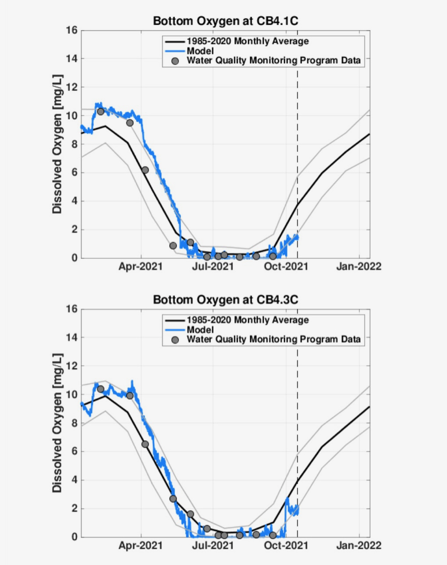 Dissolved Oxygen Time Series