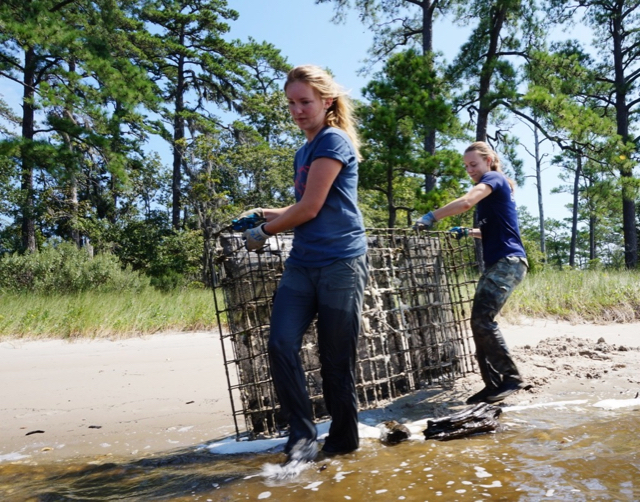 Oyster Cages