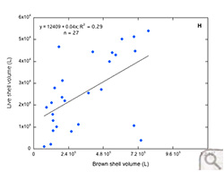 Brown shell volume (L) versus live shell volume (L) in the Elizabeth and Lafayette Rivers (region H).